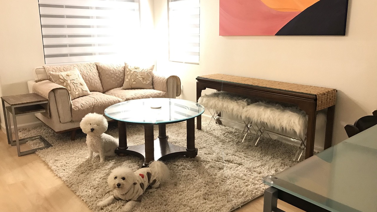Photo of Livingroom in Ventura