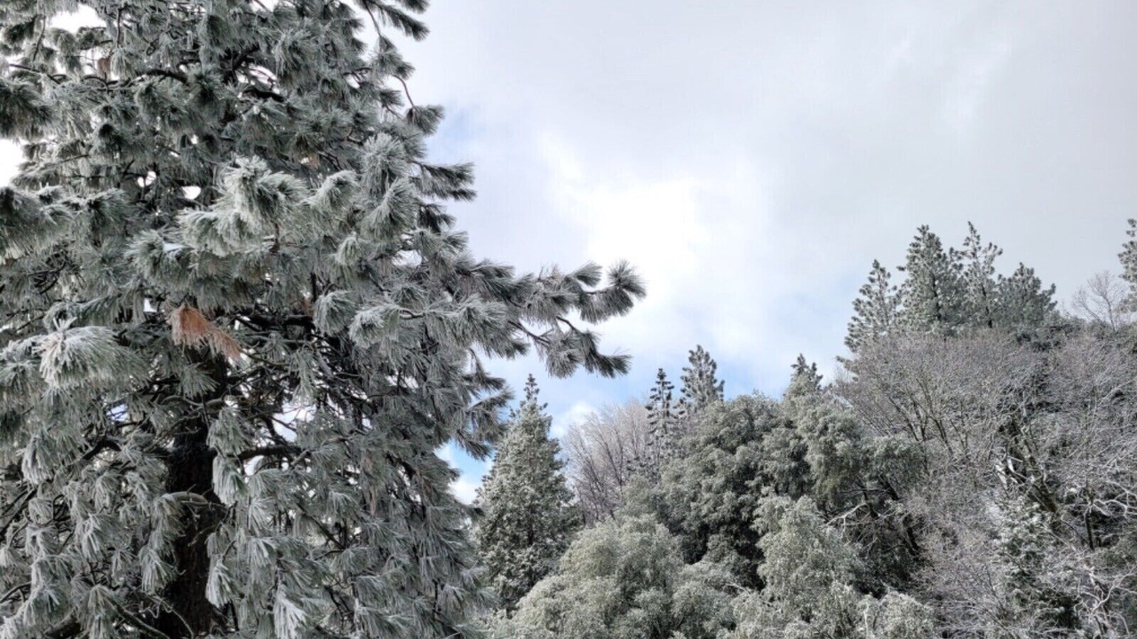 Photo of Outdoor in Crestline