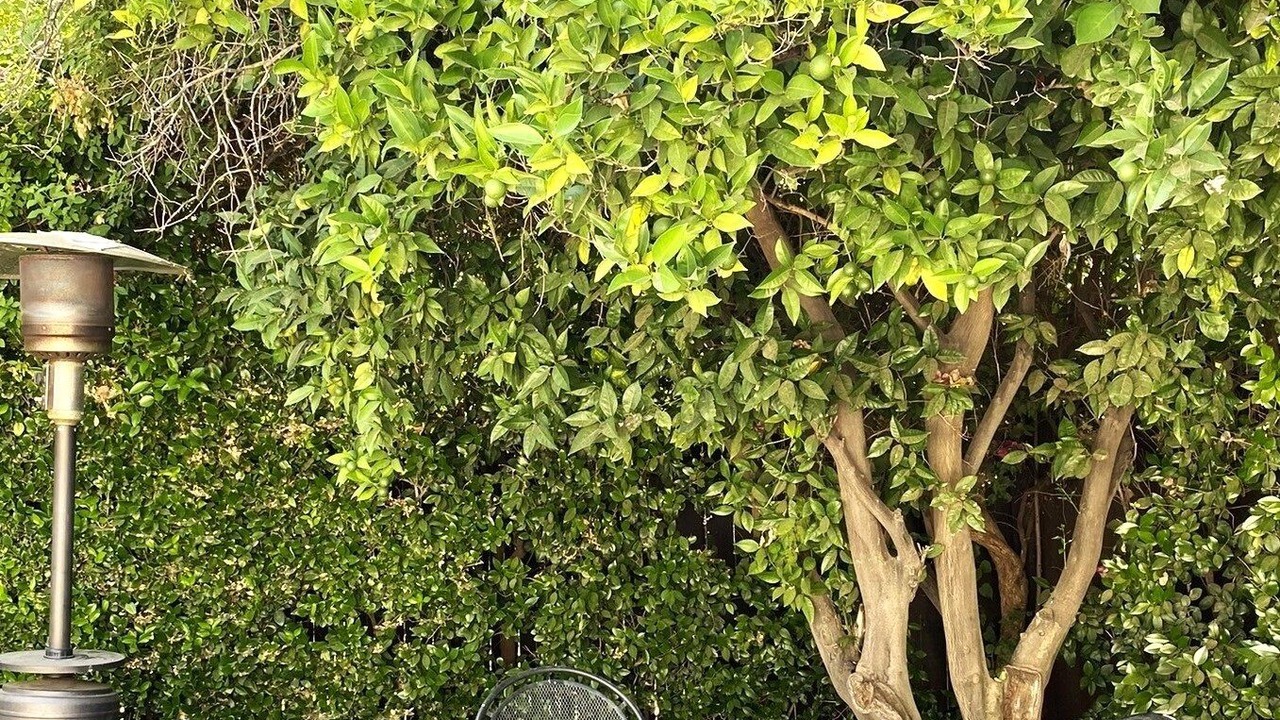 Photo of Outdoor in Granada Hills South