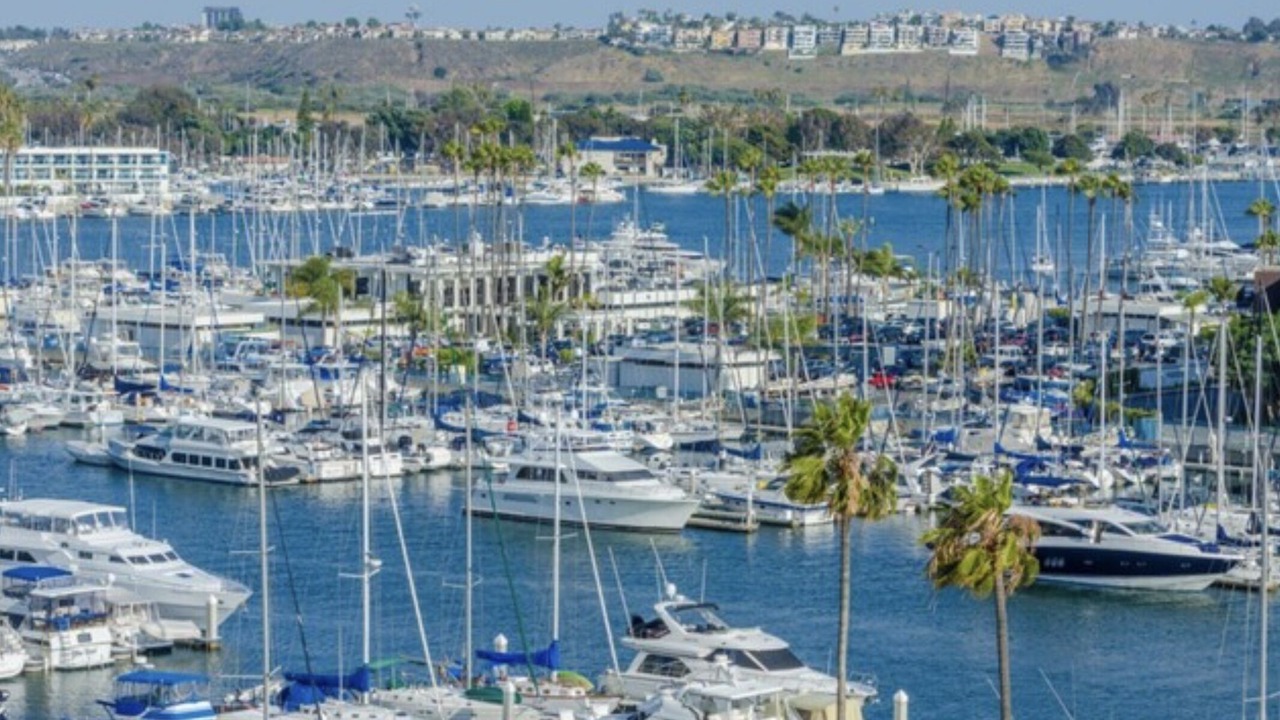 Photo of Others in Marina del Rey