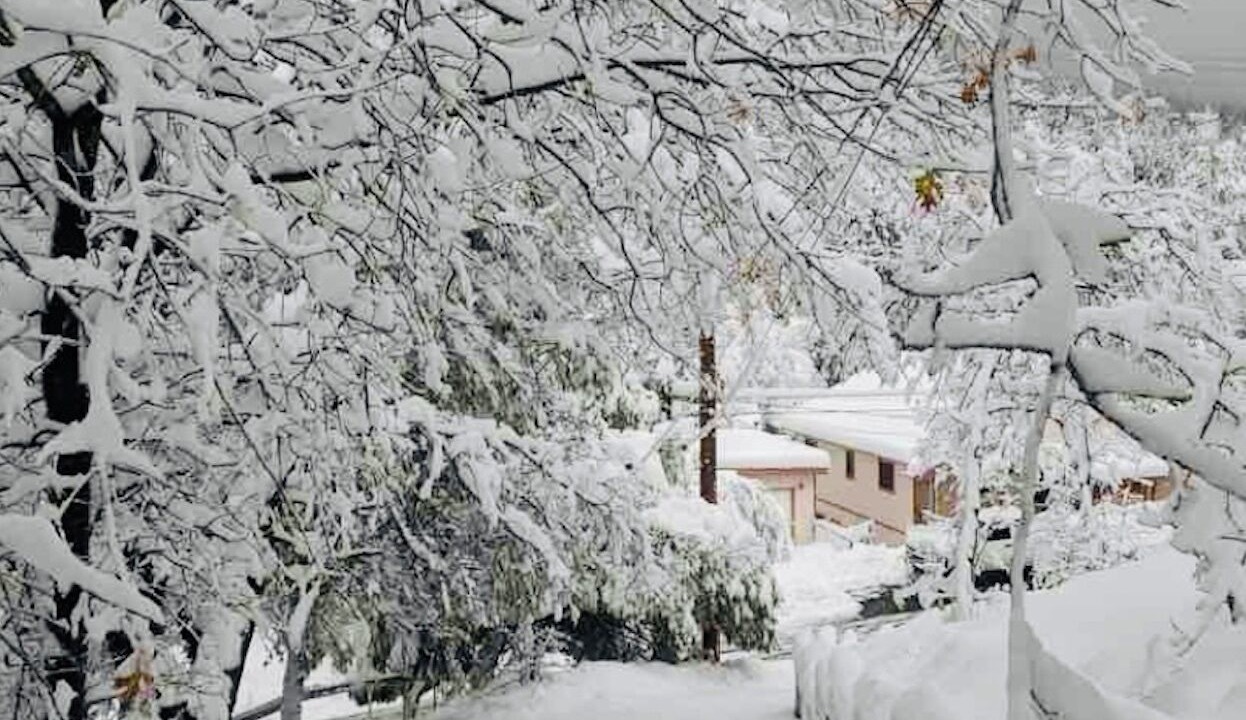 Photo of Others in Crestline