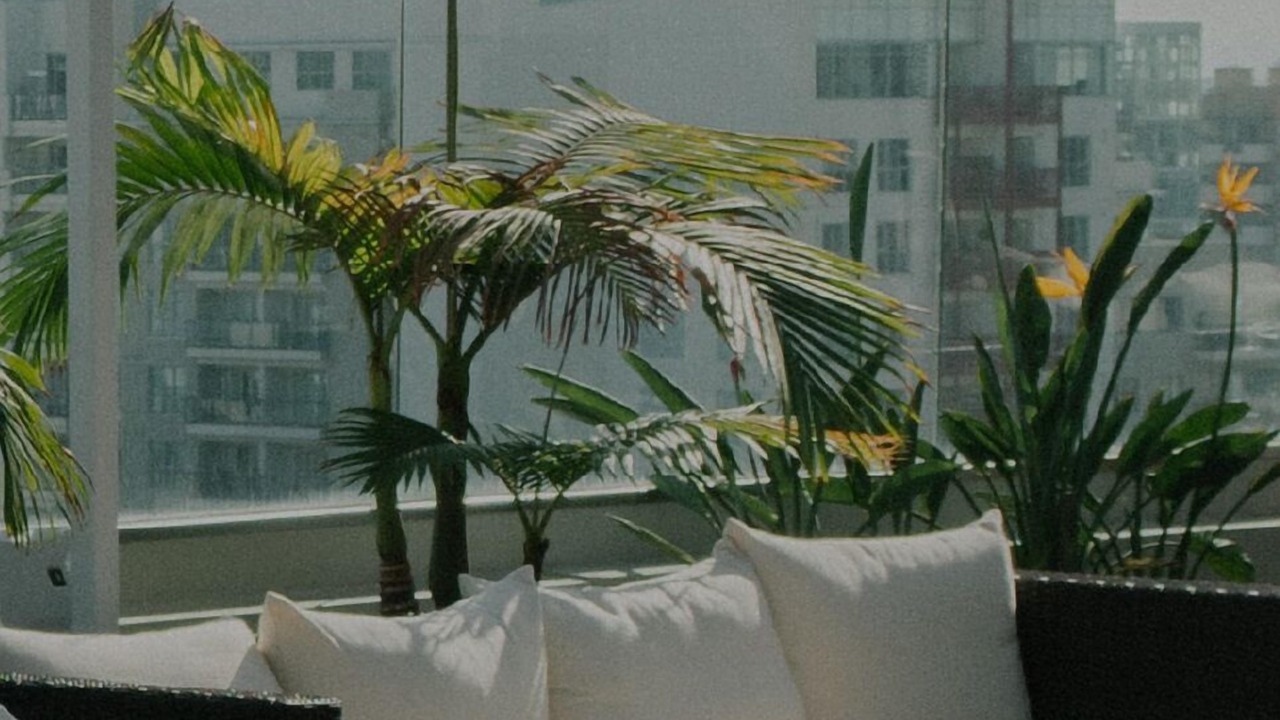 Photo of Outdoor in South Redondo