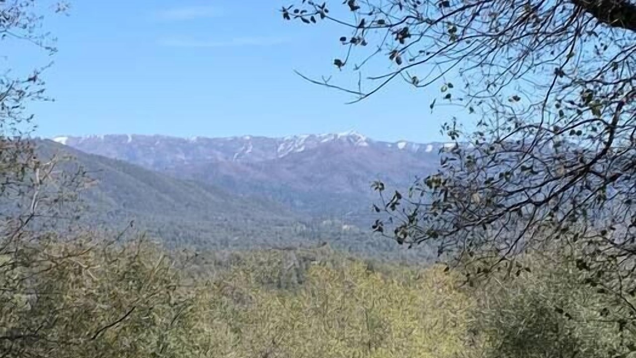 Photo of Patio Balcony in Mariposa