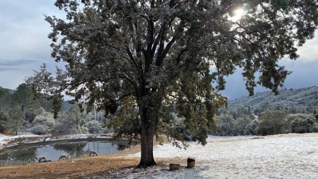 Photo of Outdoor in Mariposa