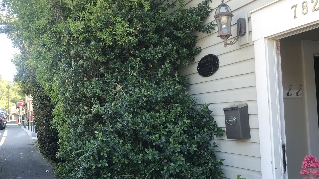 Photo of Outdoor in Garberville
