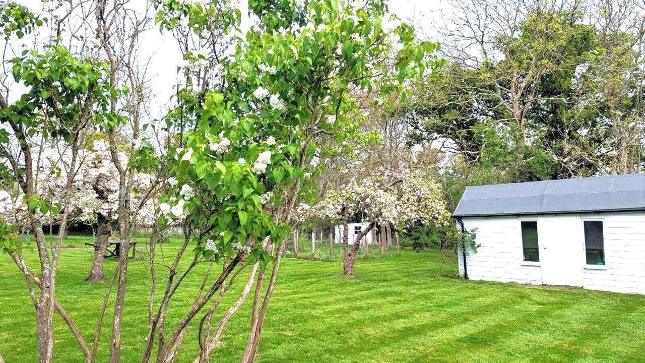 Photo of Outdoor in Ford