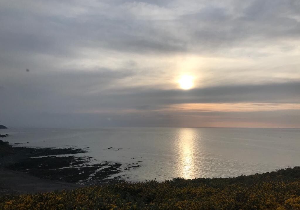 Photo of Others in Widemouth Bay
