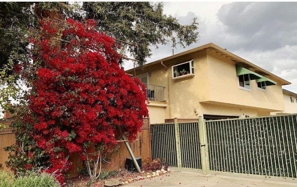 Photo of Outdoor in Sunnyvale