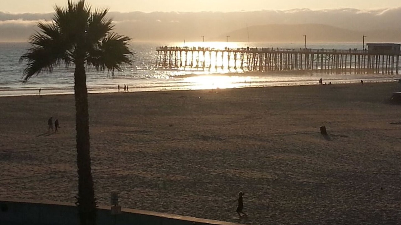 Photo of Others in Shell Beach