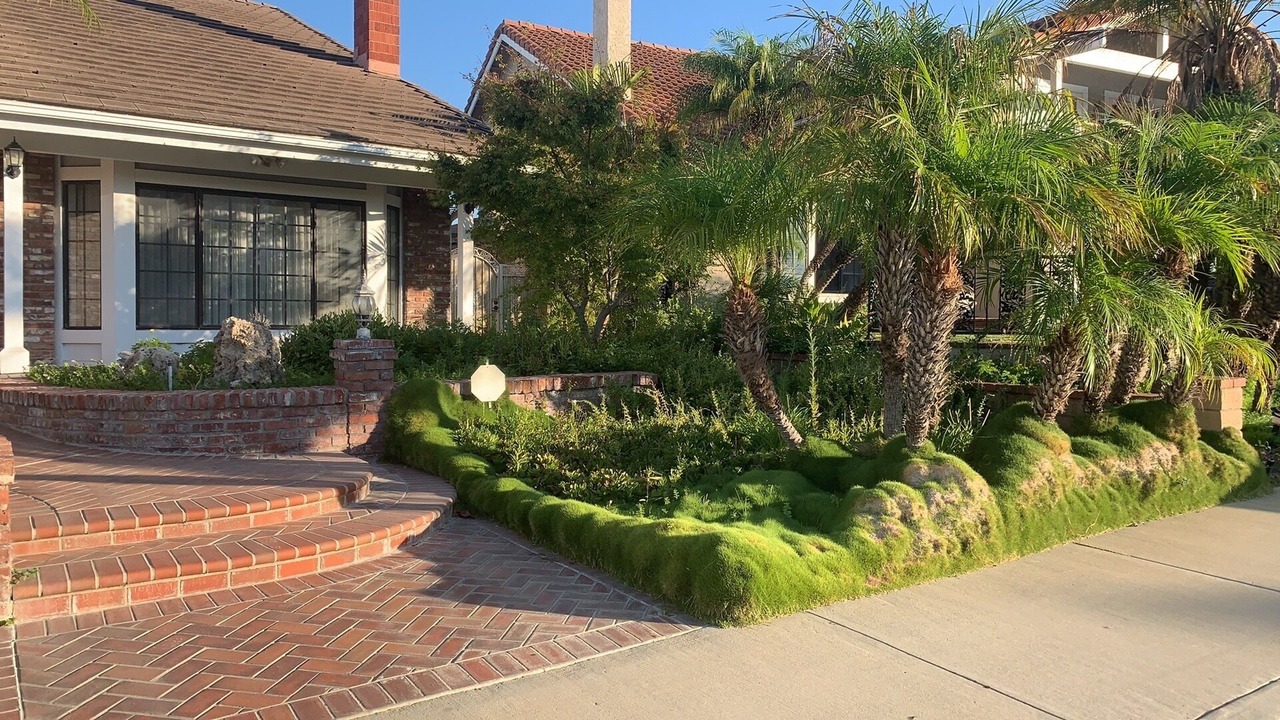 Photo of Outdoor in Valle Lindo
