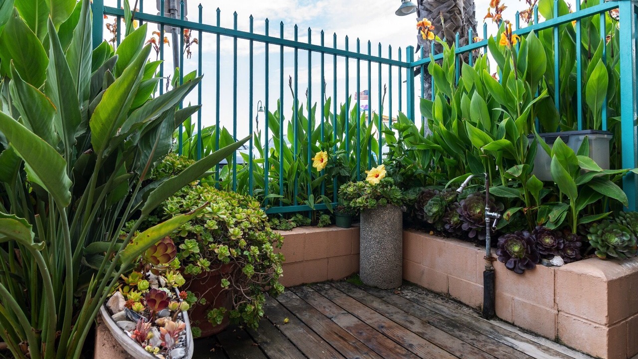 Photo of Outdoor in Carpinteria