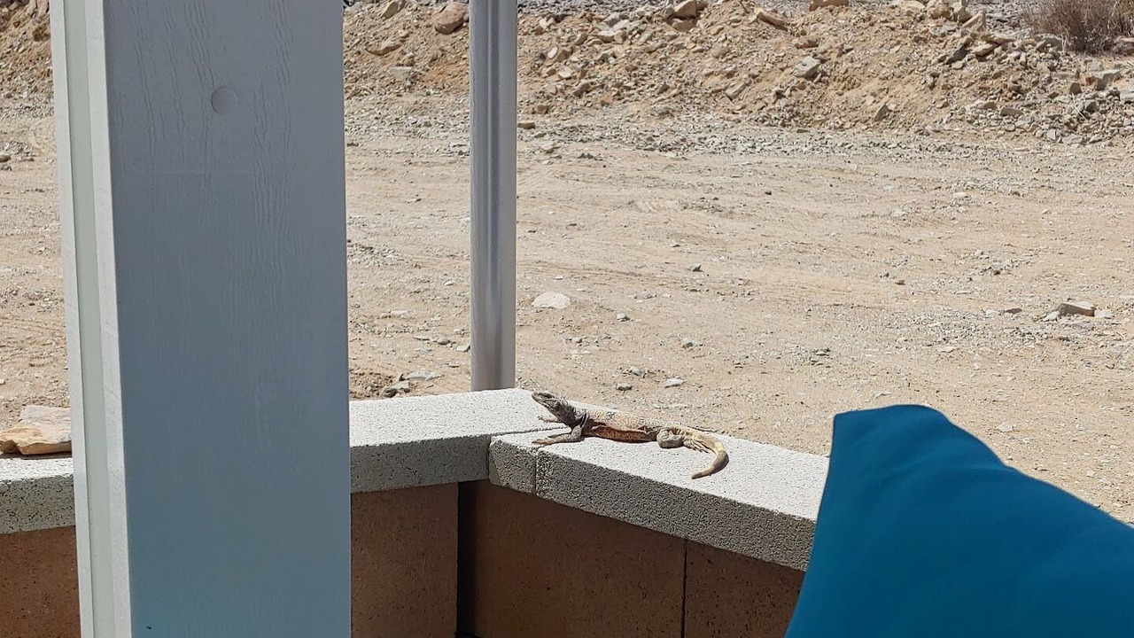 Photo of Outdoor in Indian Cove