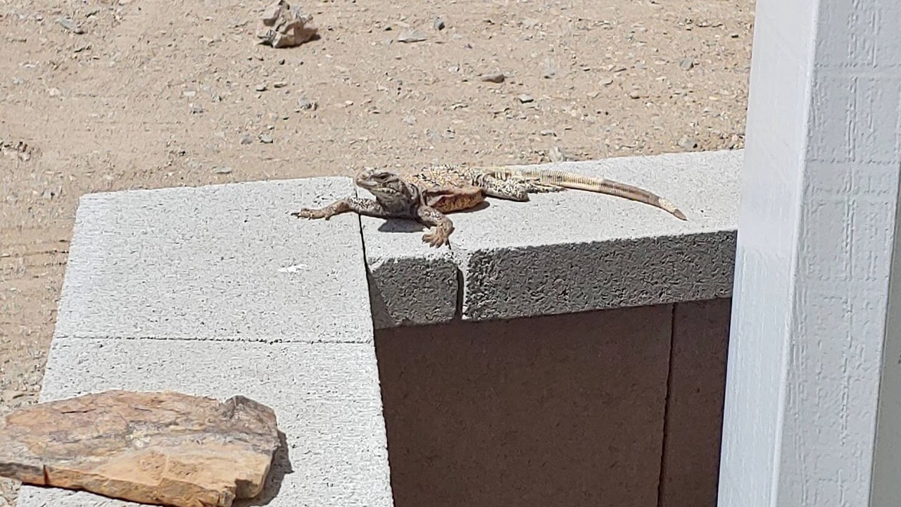 Photo of Outdoor in Indian Cove