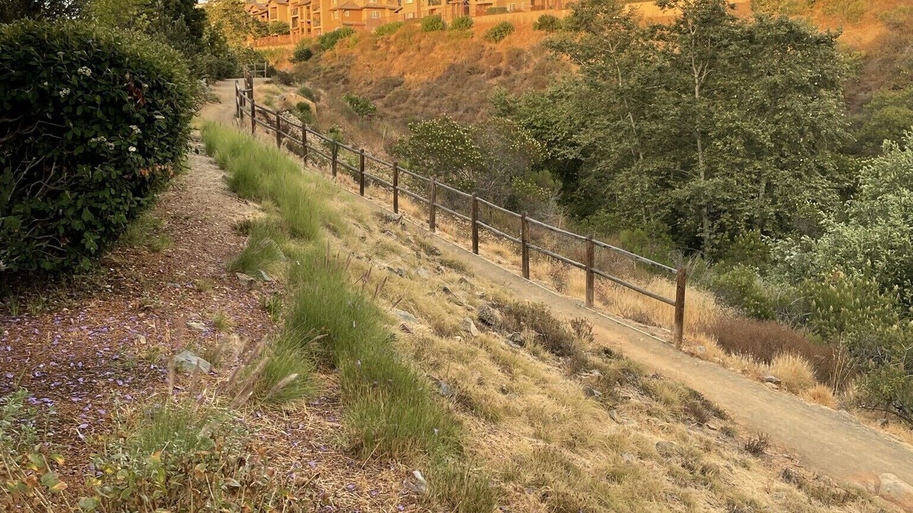 Photo of Others in San Marcos
