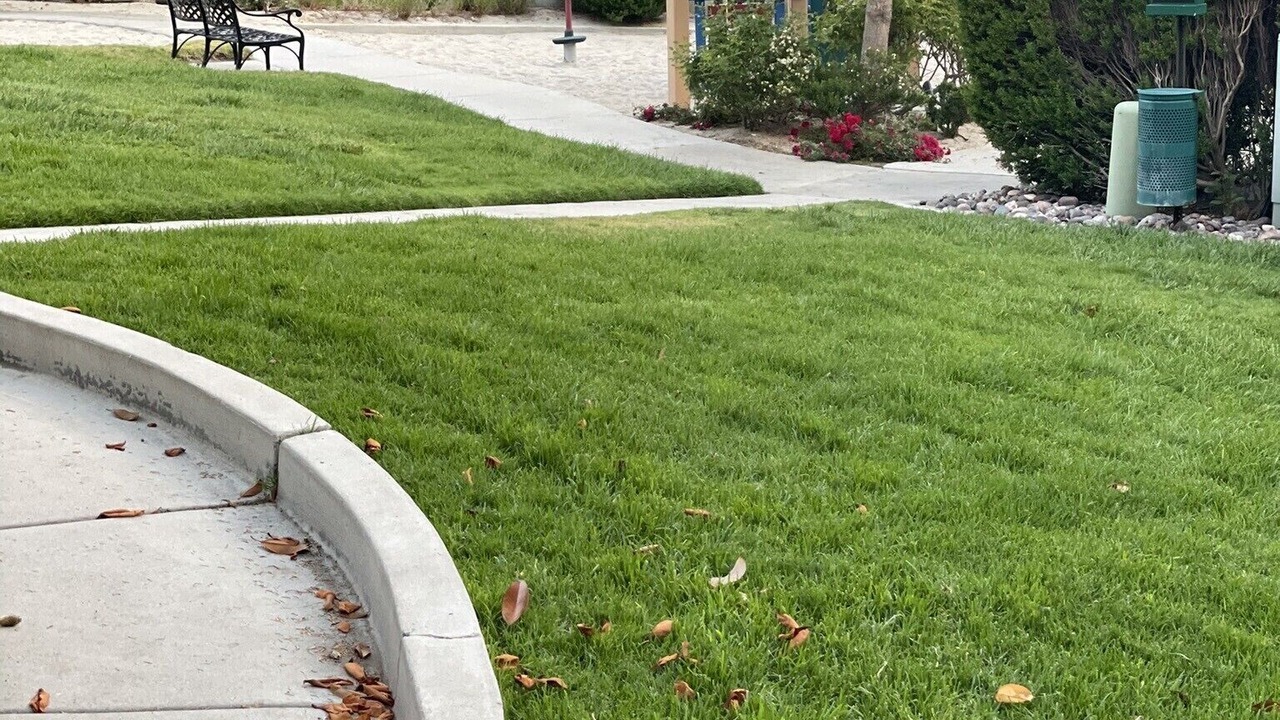 Photo of Others in San Marcos