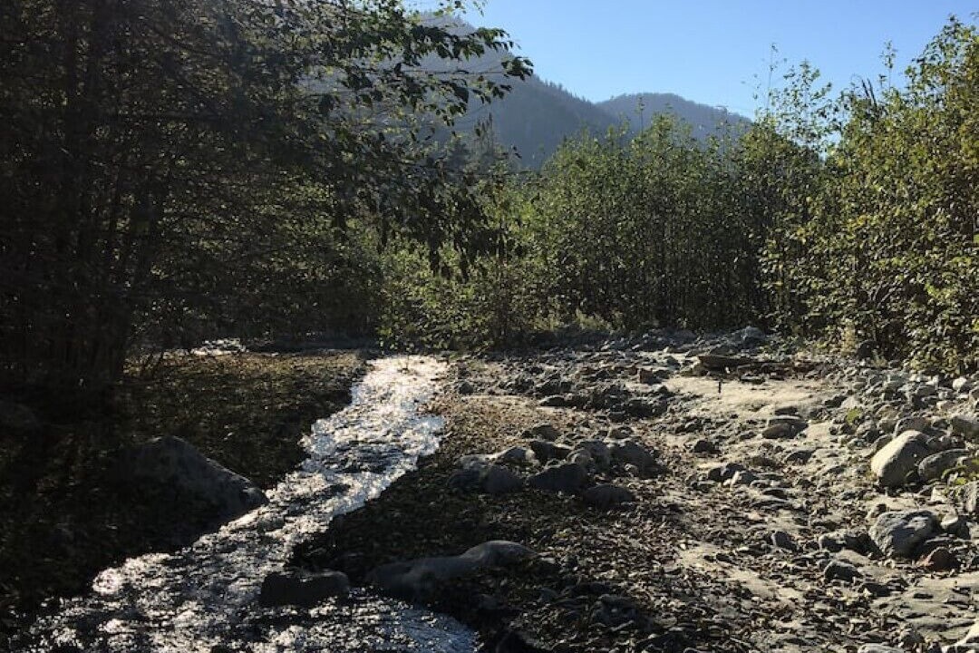 Photo of Outdoor in Forest Falls