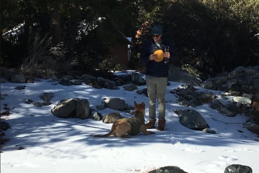Photo of Outdoor in Forest Falls