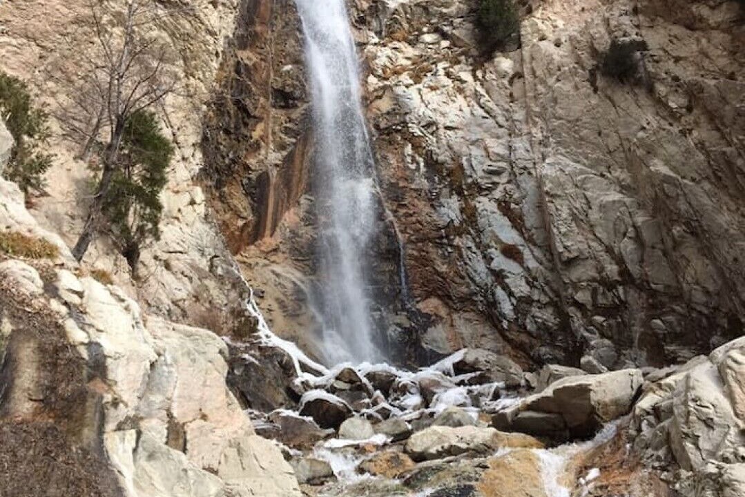 Photo of Others in Forest Falls