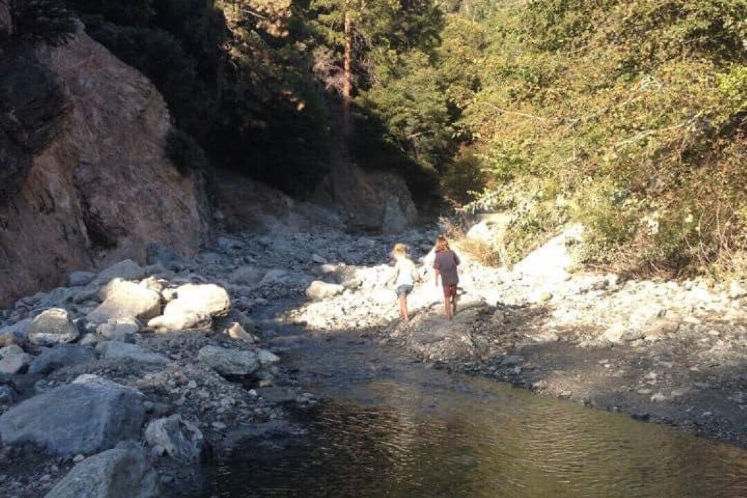 Photo of Others in Forest Falls