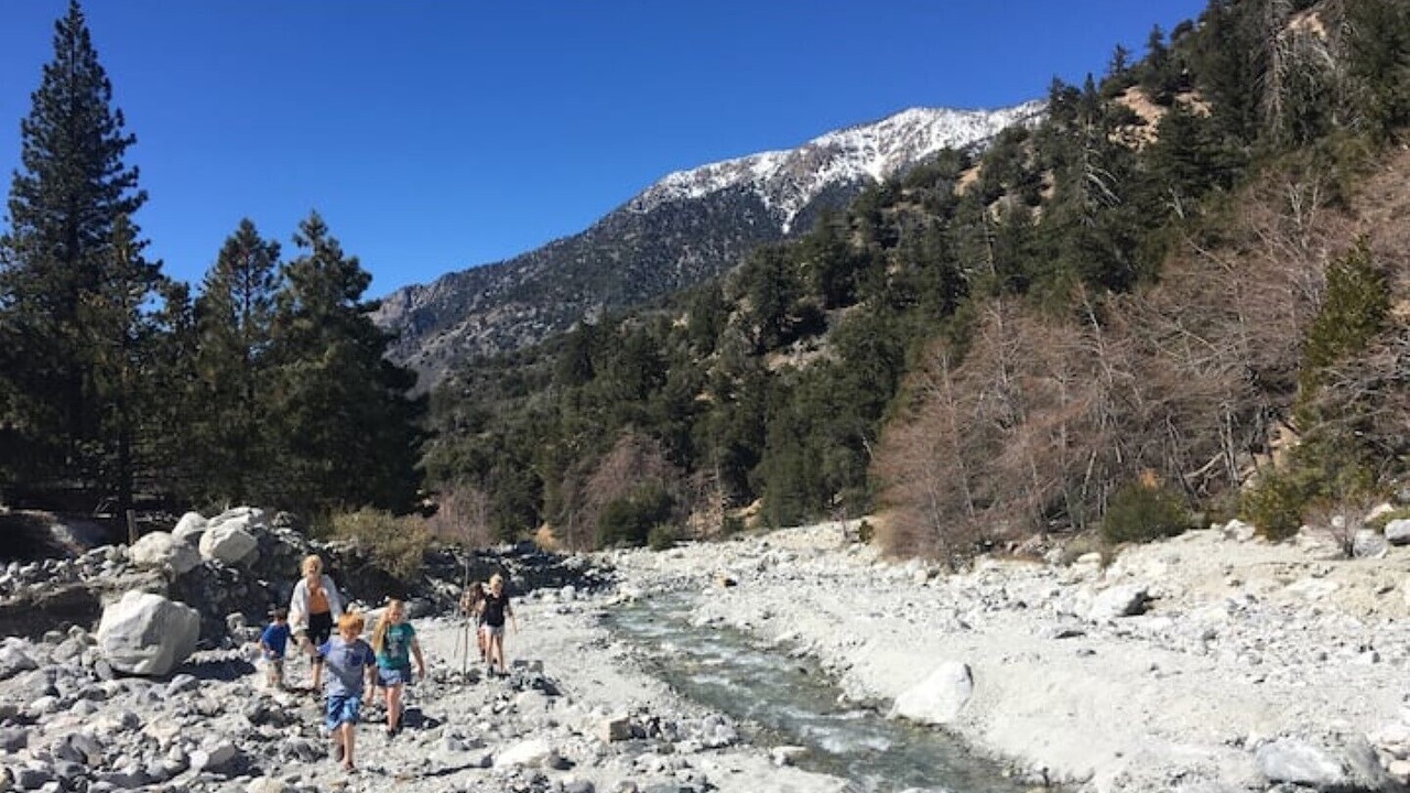 Photo of Others in Forest Falls
