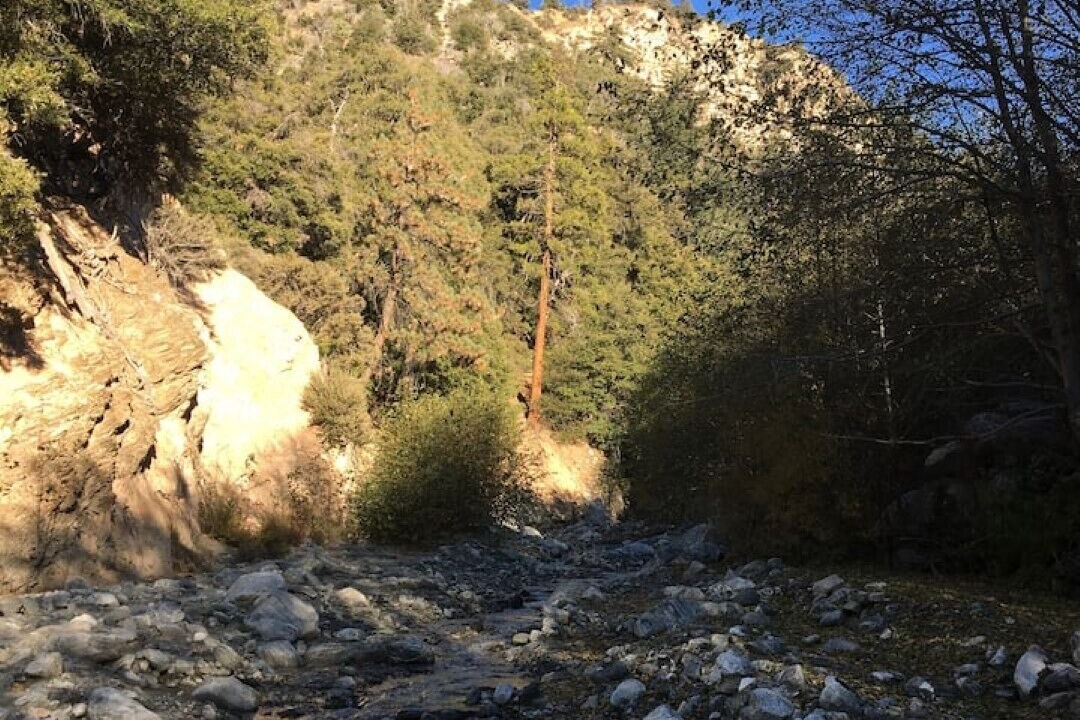 Photo of Others in Forest Falls