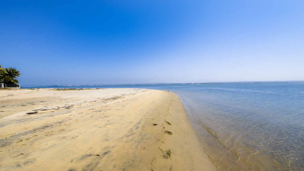 Photo of Others in Coronado