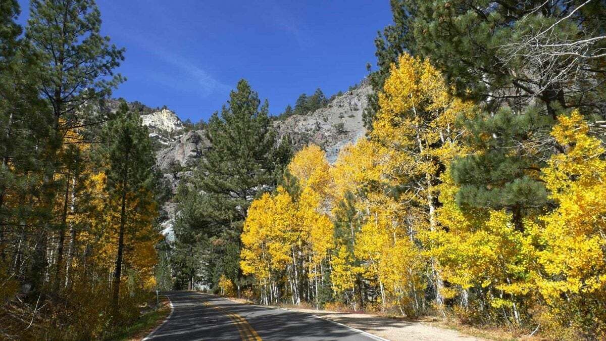 Photo of Others in Bear Valley