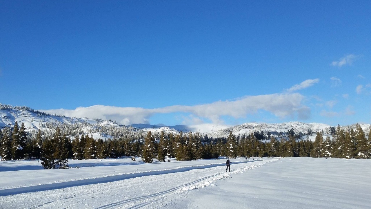 Photo of Others in Bear Valley