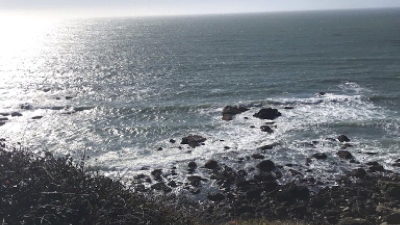 Photo of Others in Timber Cove