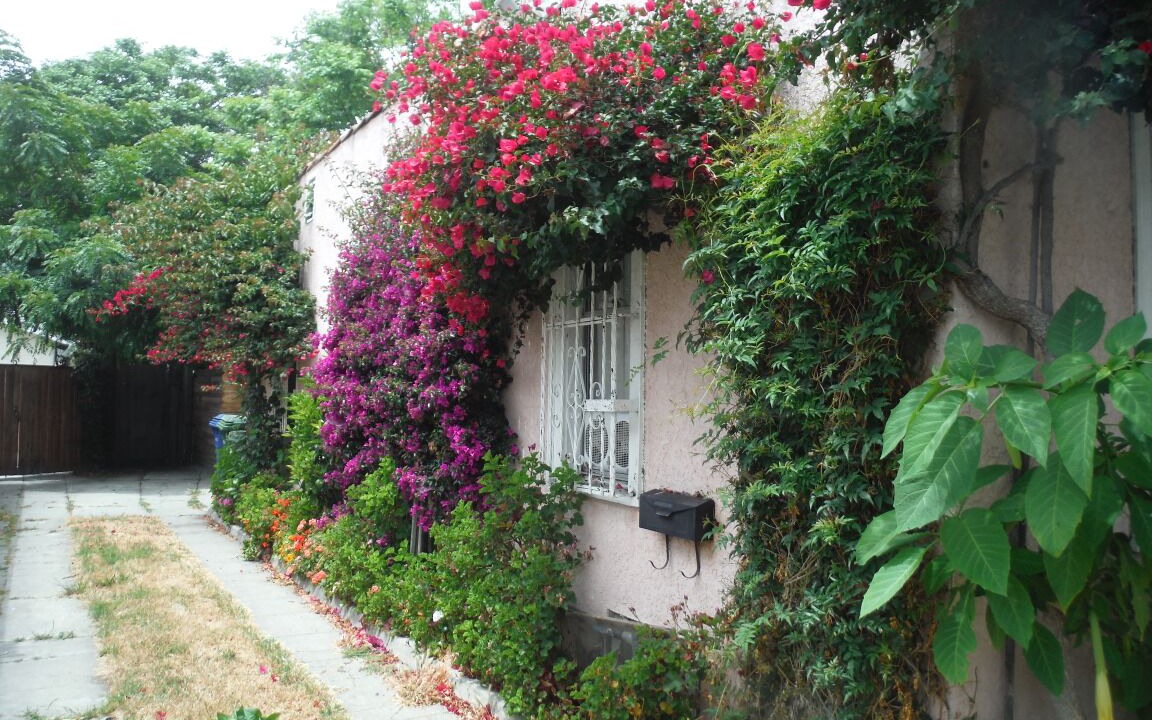 Photo of Outdoor in Los Angeles
