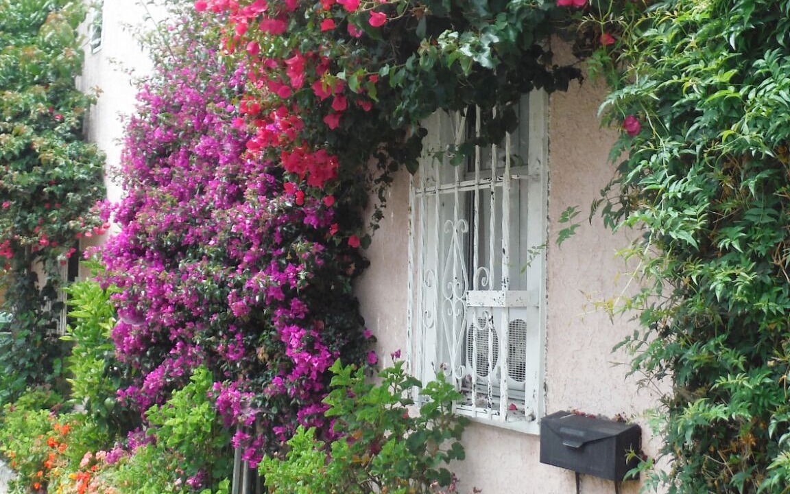 Photo of Outdoor in Los Angeles