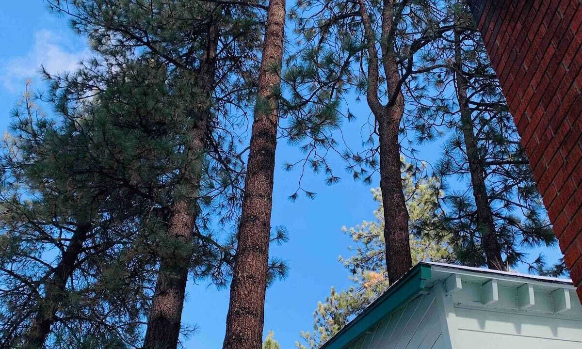 Photo of Outdoor in Wrightwood