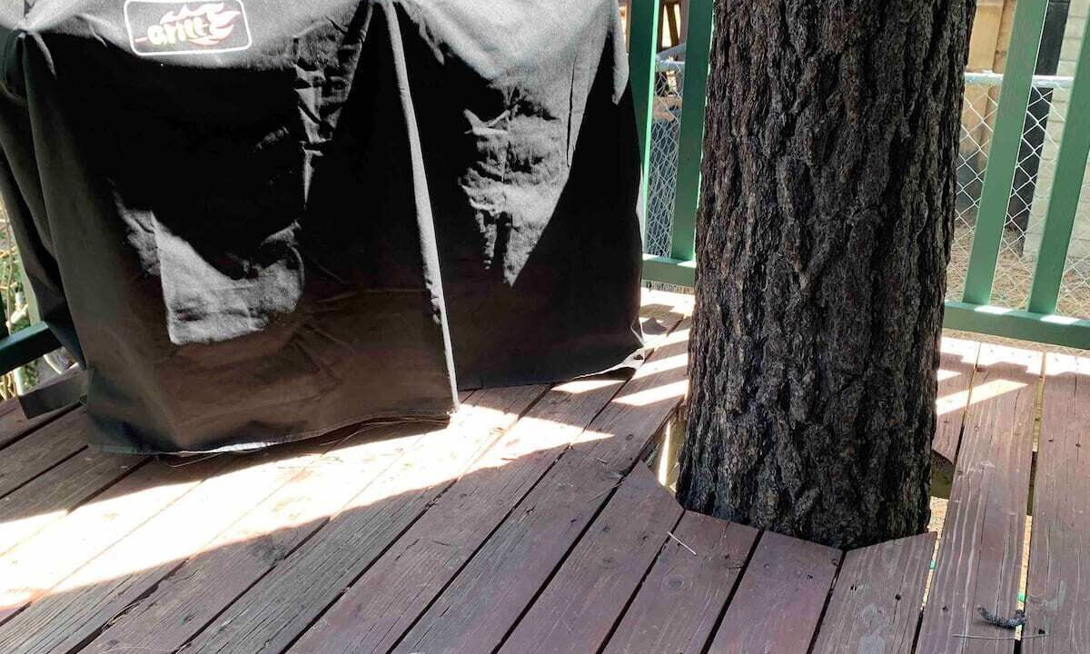 Photo of Outdoor in Wrightwood