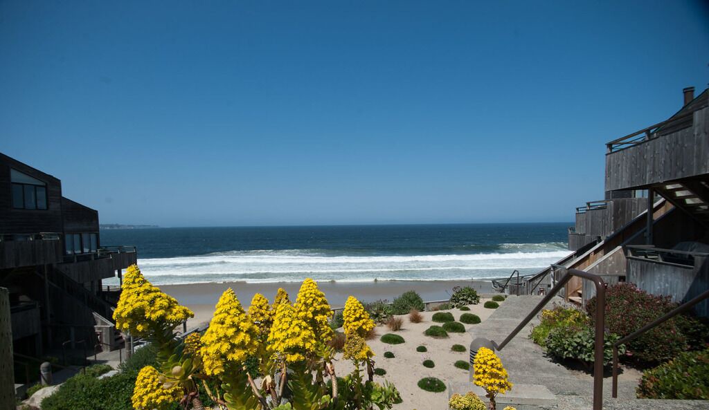 Photo of Others in Monterey