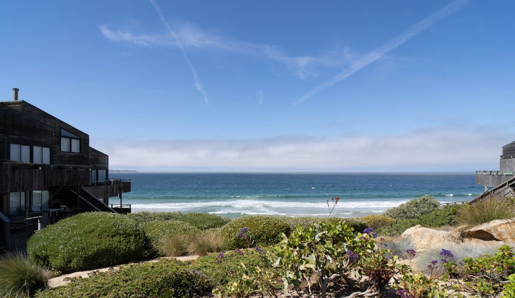 Photo of Others in Monterey
