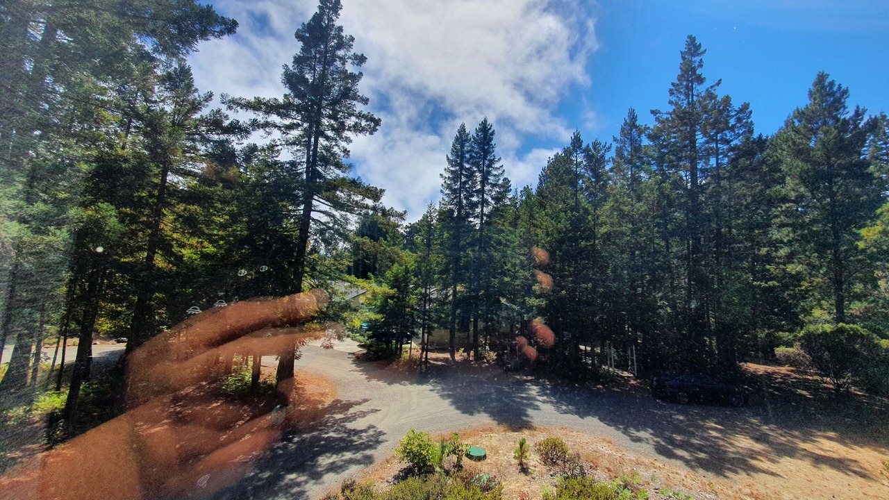 Photo of Outdoor in Gualala