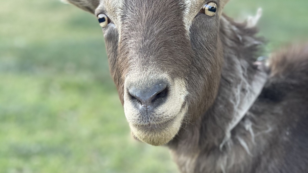 Photo of Others in Canyon Country