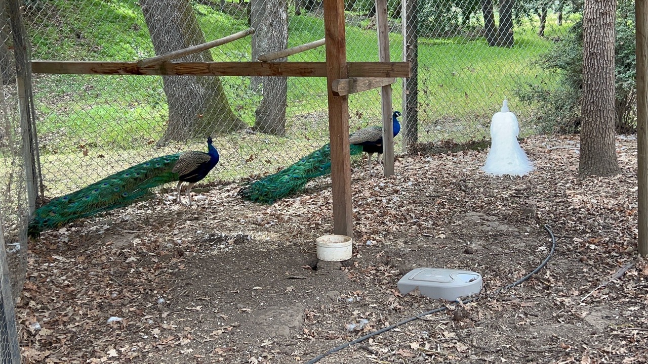 Photo of Outdoor in Gilroy