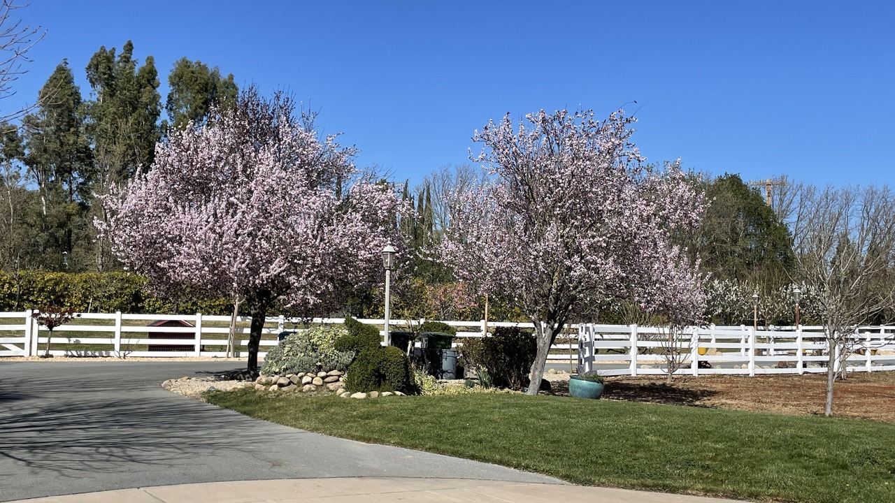 Photo of Outdoor in Gilroy