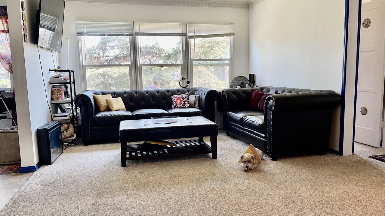 Photo of Livingroom in Los Feliz
