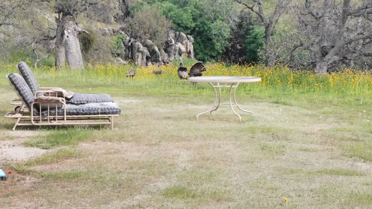 Photo of Outdoor in Raisin