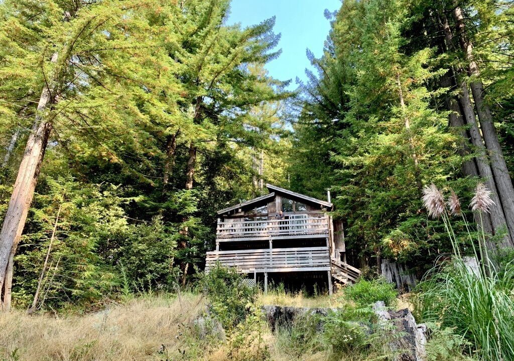 Photo of Outdoor in Albion