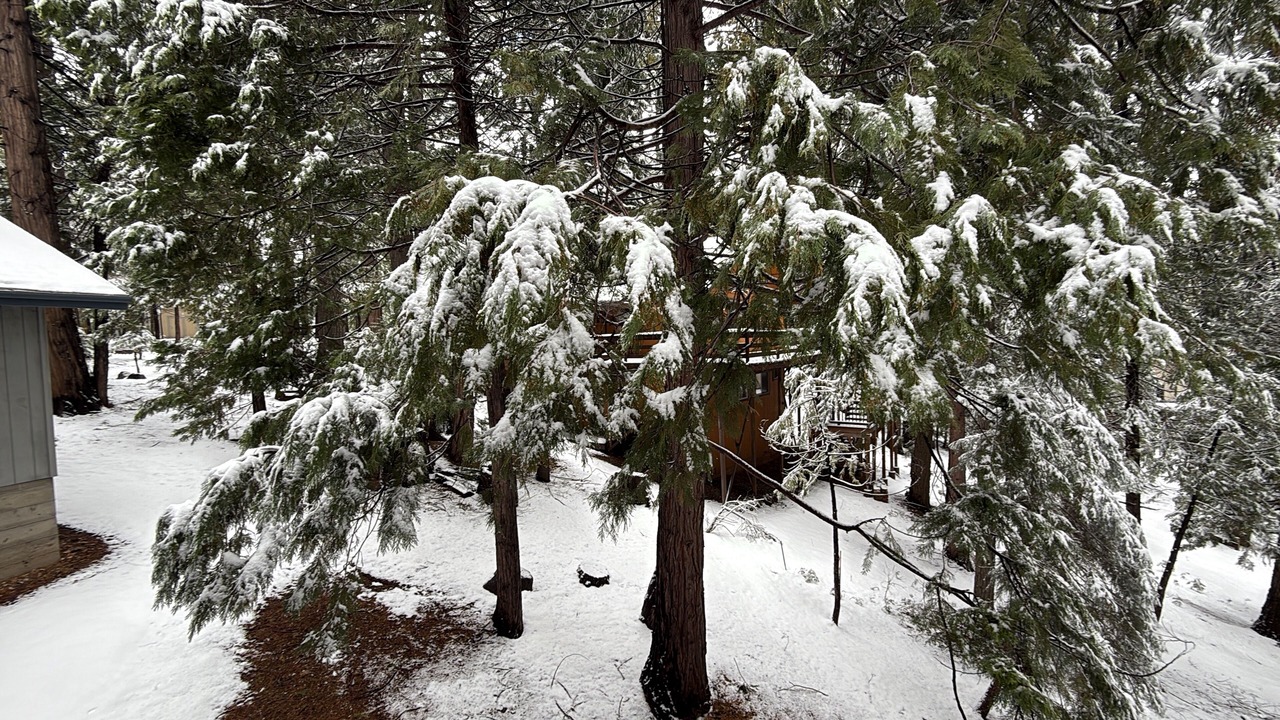 Photo of Outdoor in Dorrington