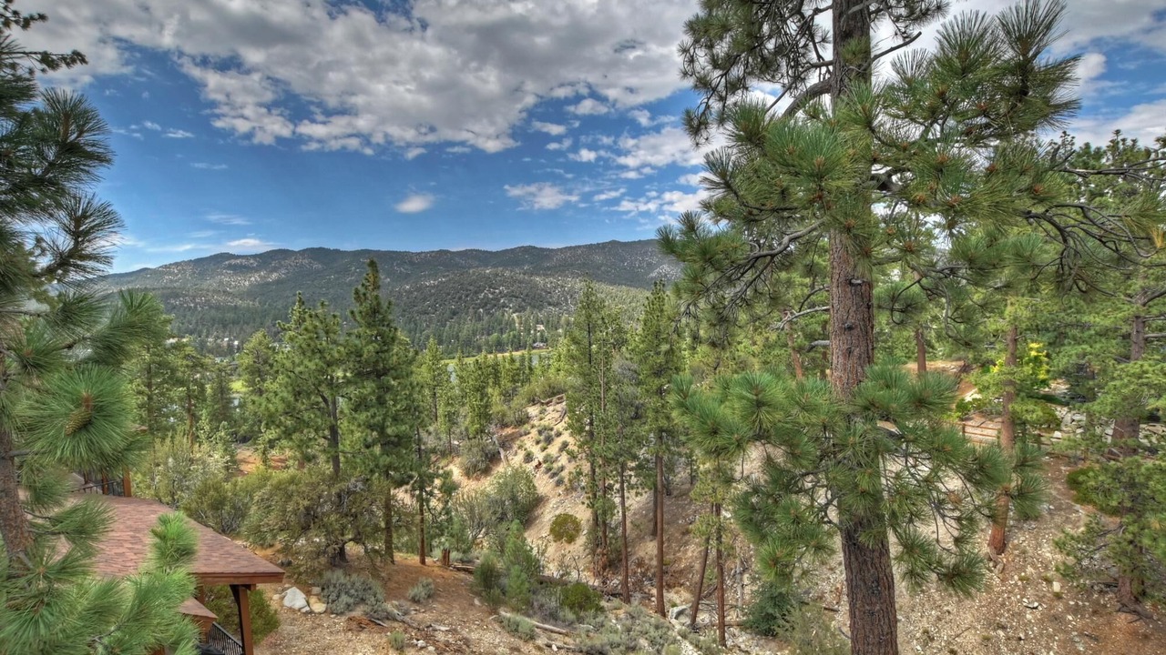 Photo of Others in Castle Glen Estates