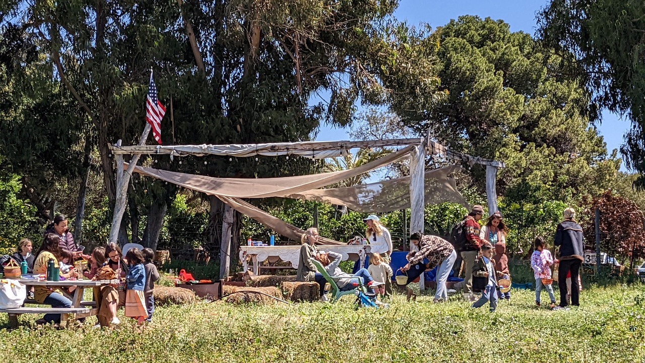 Photo of Outdoor in Central Malibu