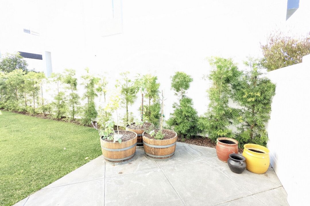 Photo of Outdoor in San Clemente