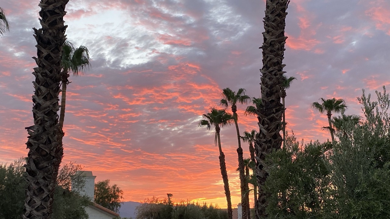 Photo of Others in Palm Desert