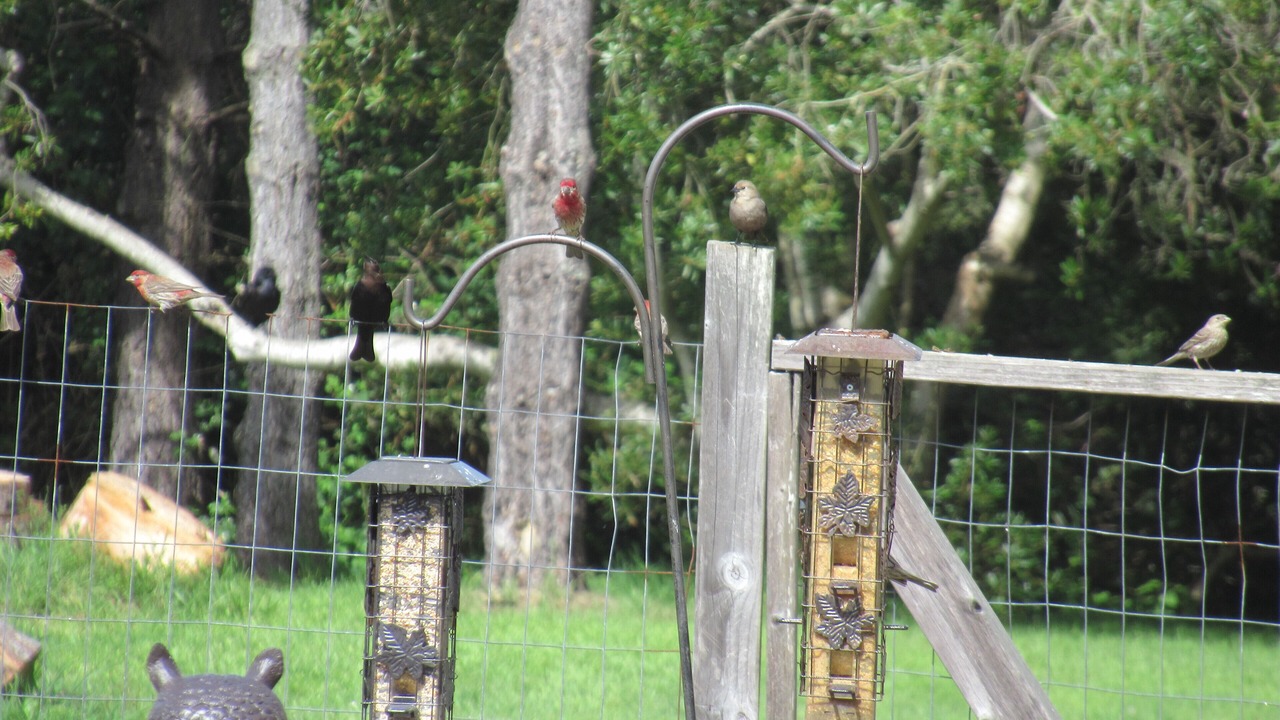 Photo of Others in Fort Bragg