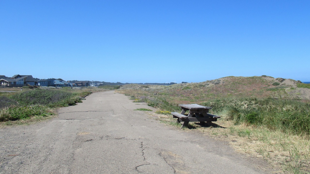 Photo of Others in Fort Bragg