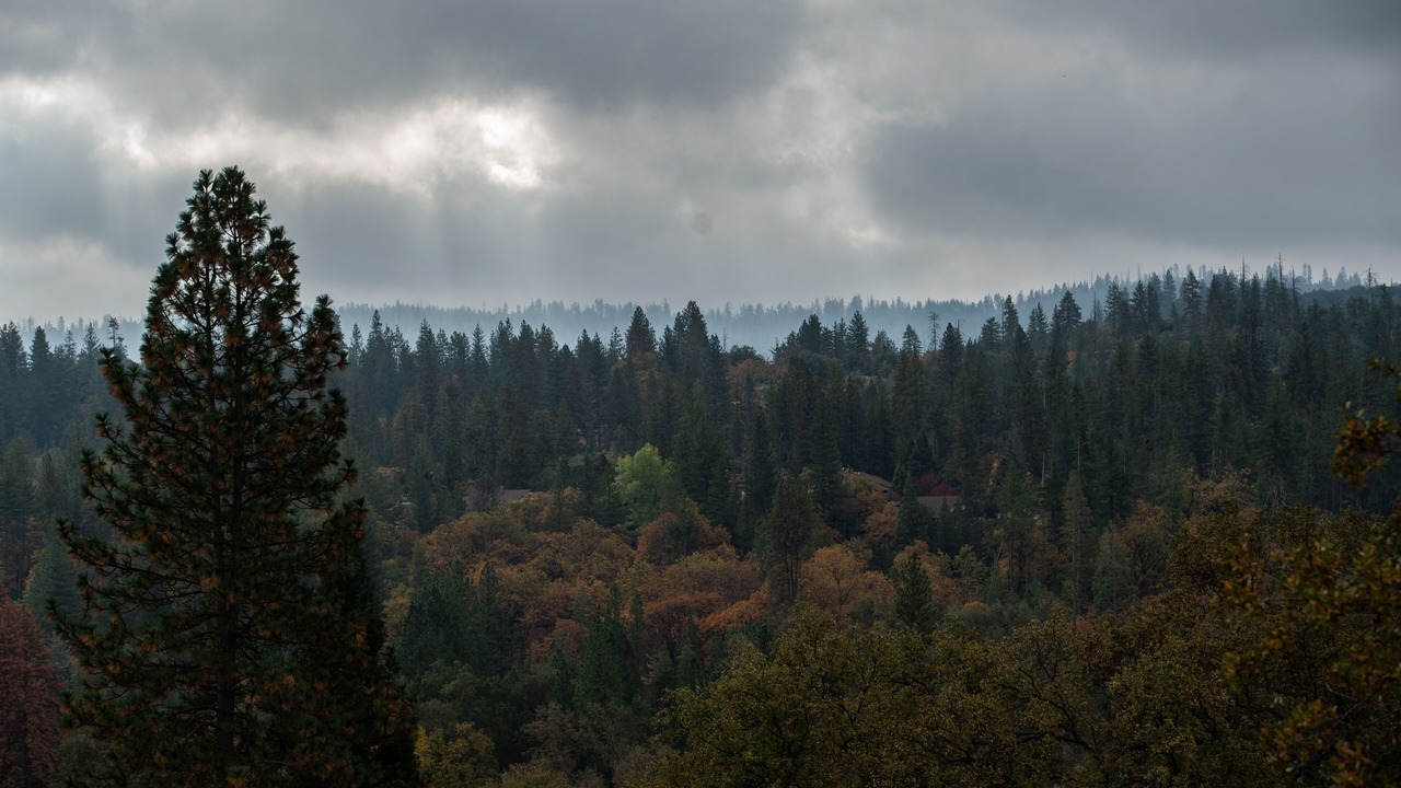 Photo of Others in Groveland